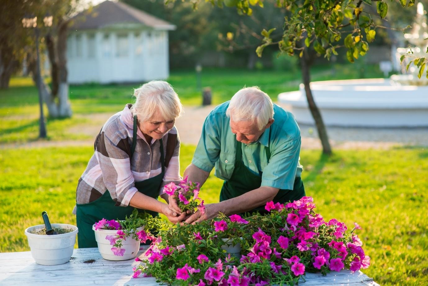 Senior-gardening-couple-together